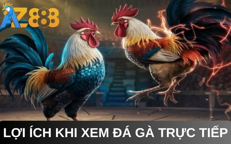 Xem đá gà trực tiếp tại AZ888 có nhiều lợi ích Xem đá gà trực tiếp tại AZ888 có nhiều lợi ích