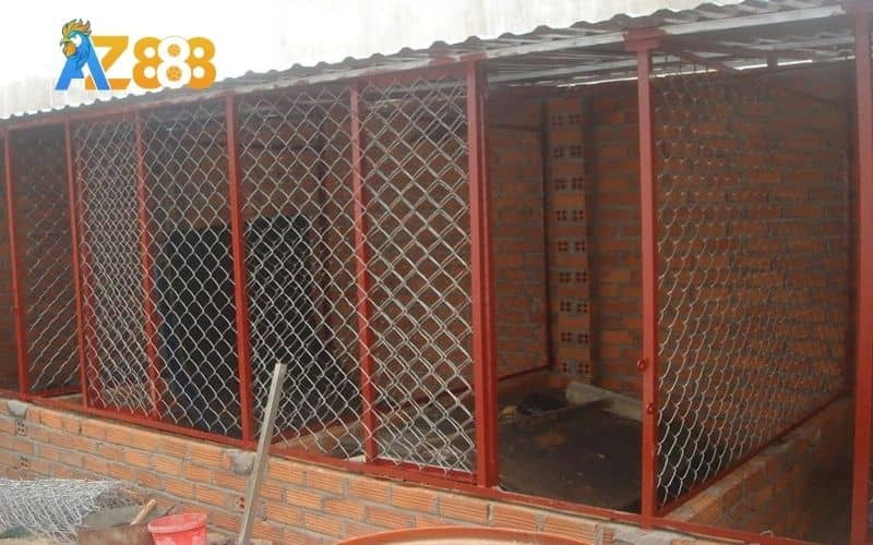 Thiết kế chuồng nuôi gà đá hợp lý Thiết kế chuồng nuôi gà đá hợp lý