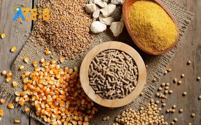 Trong quá trình nuôi gà đá chân mạnh cần cung cấp đủ chất dinh dưỡng Trong quá trình nuôi gà đá chân mạnh cần cung cấp đủ chất dinh dưỡng